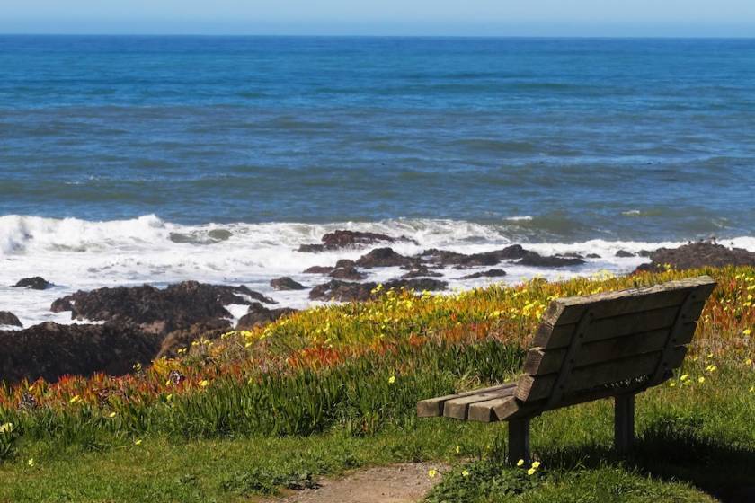 bench overlooking the ocean at Lampton Cliffs Park in Cambria, Ca
