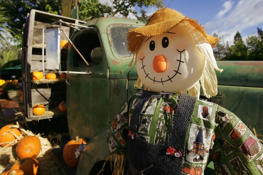 scarecrow by a truck for fall decorations